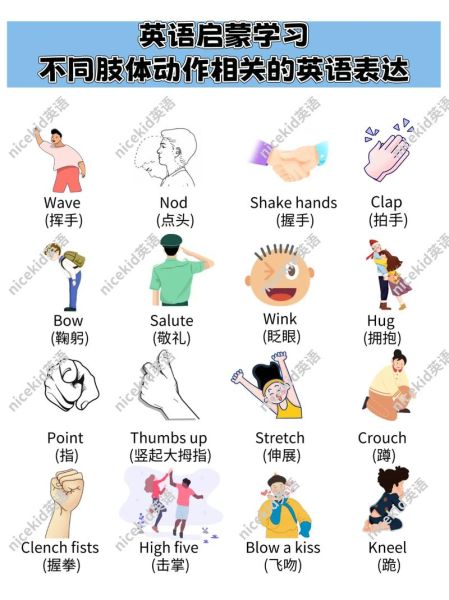肢体语言有哪些_如何识别肢体语言
