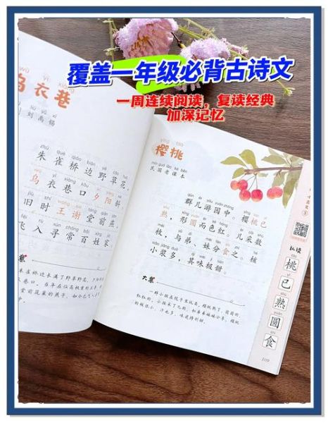 大语文百科诵读书怎么选_适合几年级孩子读