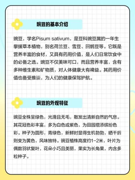 豌豆表达情感是什么_如何用豌豆表达情感