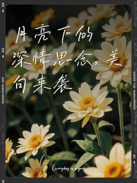 明月表达什么情感_月亮寄托哪些思念