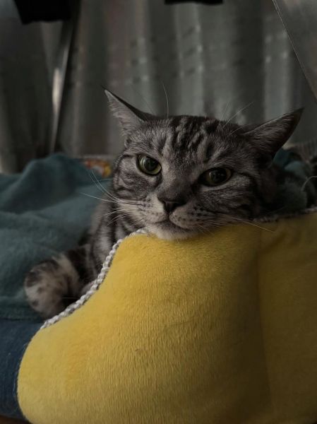 어떤_표현이_진심일까_감정표현_예시