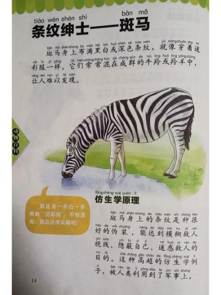 4-6岁幼儿读什么斑马百科_斑马百科适合几岁孩子
