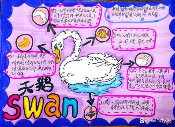 动物百科适合几岁孩子阅读_如何挑选动物百科