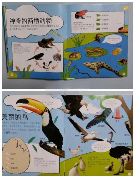 科学百科全书适合几岁孩子_如何高效使用