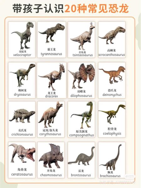 恐龙大百科适合几岁阅读_恐龙大百科和DK恐龙百科区别