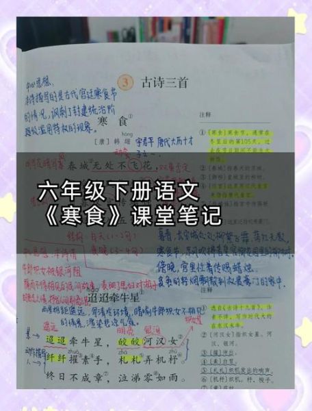 寒食笔记表达什么情感_如何读懂