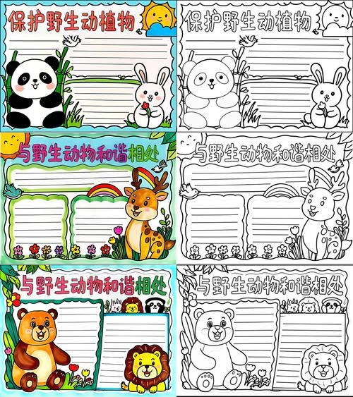 野生动物大百科读书小报怎么做_有哪些创意排版