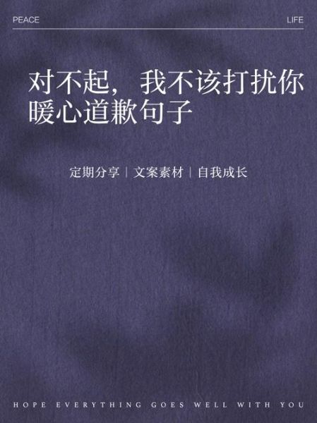 如何道歉才能挽回感情_对不起歌曲表达什么情感