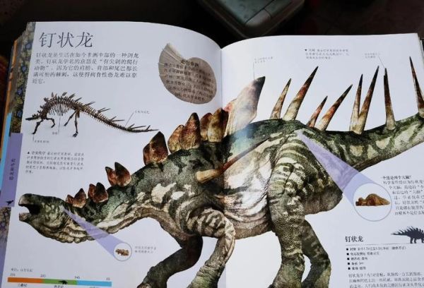 恐龙为什么会灭绝_恐龙百科读书日记