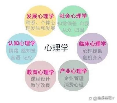 应用心理学师范学什么_就业前景好吗