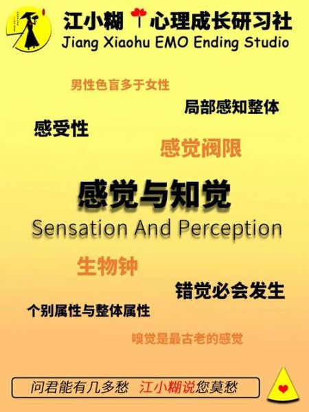 感觉的心理学定义是什么_感觉与知觉的区别