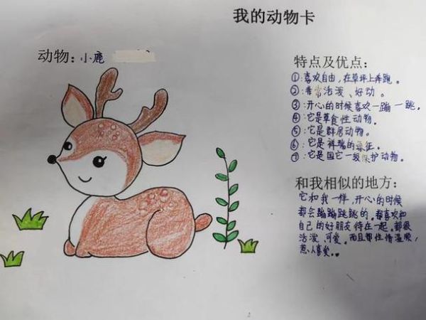 动物百科读书卡怎么写_小学生动物卡片模板