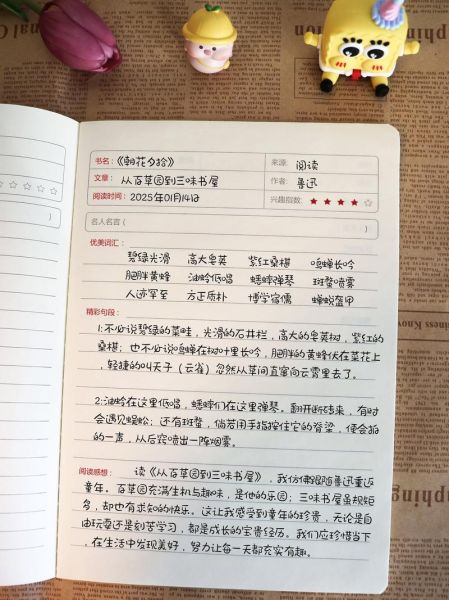 少儿百科全书怎么读_读书心得怎么写