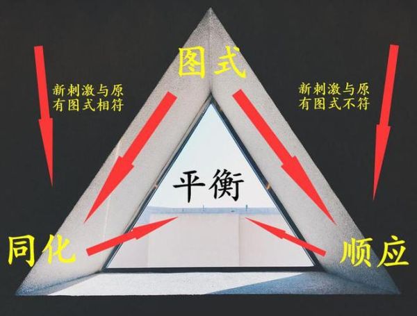 什么是图式_如何改变图式