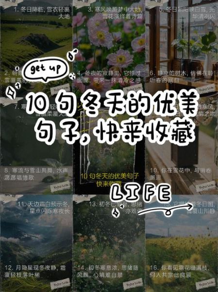 冬天如何表达情感_冬日情感文案怎么写