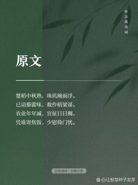 稻田古诗表达了什么情感_如何理解