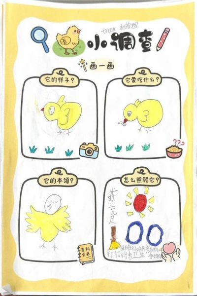 小鸡情感表达_小鸡怎么表达情绪