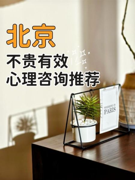 北京心理咨询哪里好_北京心理咨询价格贵吗