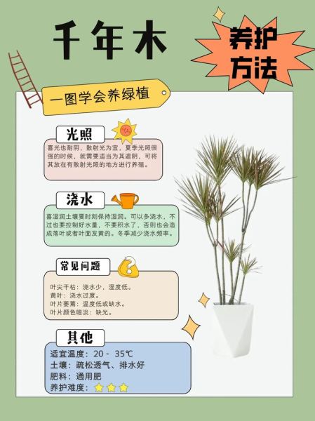 树木寿命有多长_古树如何养护