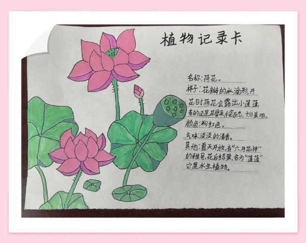 植物百科读书卡怎么用_读书卡模板怎么写