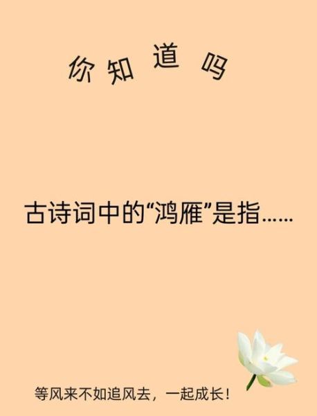 鸿雁象征什么情感_鸿雁传书表达什么