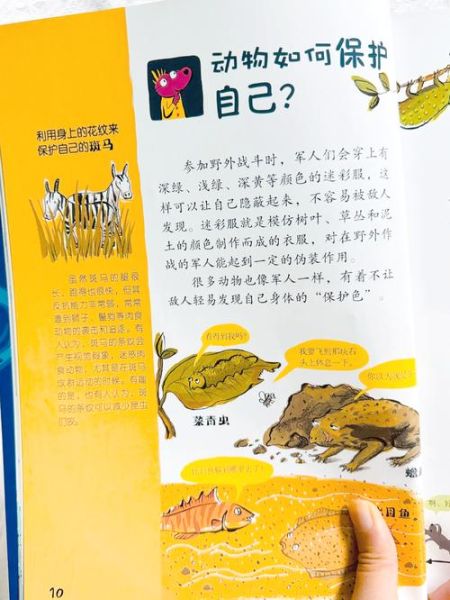 科普百科绘本有声点读书怎么用_适合几岁孩子