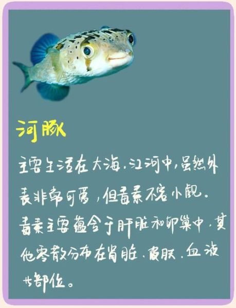 深海生物有哪些_深海生物如何适应高压环境