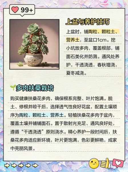 植物百科全书读书笔记_适合初学者的植物养护技巧