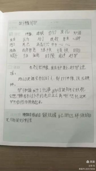 魔袋小百科读书笔记怎么写_魔袋小百科读书笔记模板