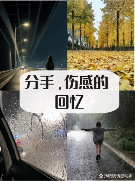 如何面对离别_暂别离表达情感