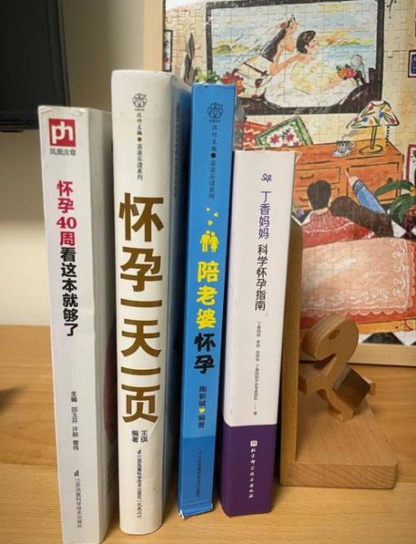 准妈妈必读书籍推荐_孕期看什么书好