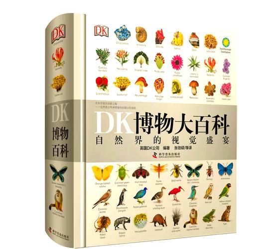 DK博物大百科适合几岁孩子_怎么读最有效