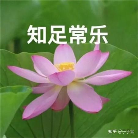 微信头像心理学_为什么别人一看头像就给你贴标签