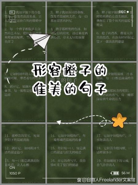橙子代表什么情感_橙子花语暗示什么