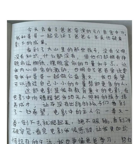 王子珊在哪上学_王子珊就读学校