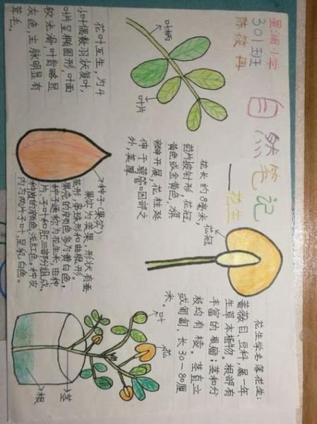 博物大百科读书笔记怎么写_如何高效整理自然知识