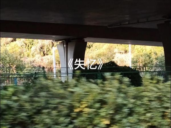 失忆翻唱如何表达情感_翻唱失忆技巧