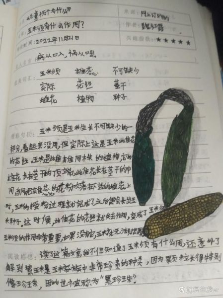 动植物百科大全读书笔记_如何快速掌握动植物分类