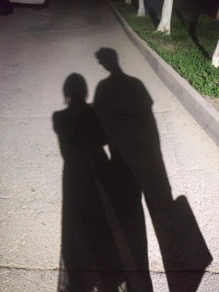 影子情感表达是什么_如何练习影子情感表达