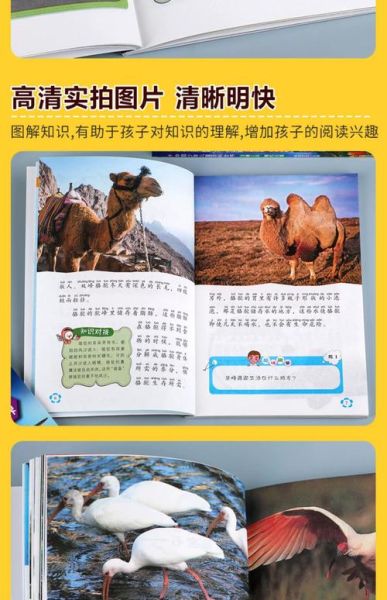 阿东读书儿童趣味百科是什么_适合几岁孩子阅读