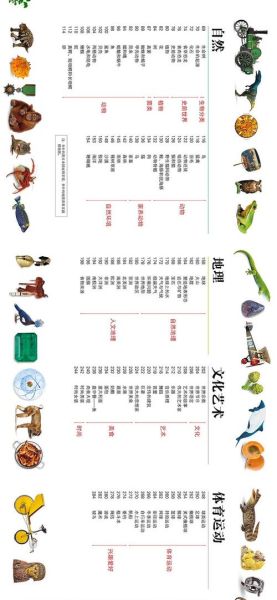 DK大百科适合几岁孩子读_如何挑选版本