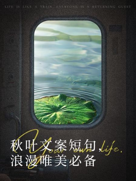 秋叶情感表达_如何写秋意文案