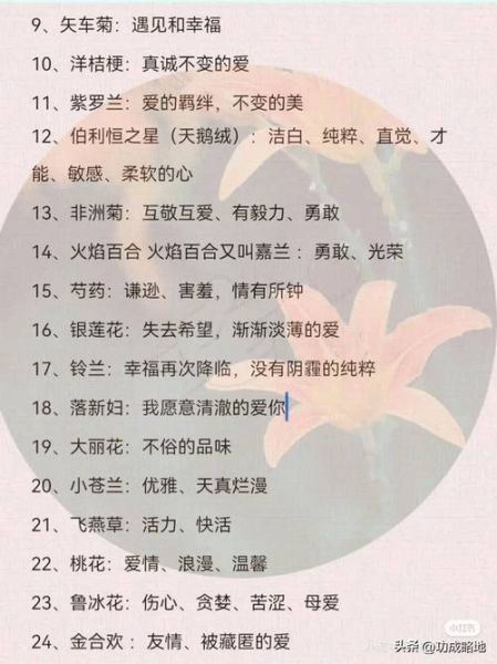 花香如何表达情感_花香代表什么情感