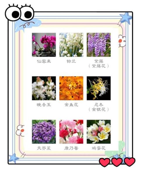 花香如何表达情感_花香代表什么情感