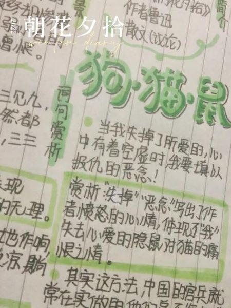 动物百科全书读书笔记_如何高效做笔记