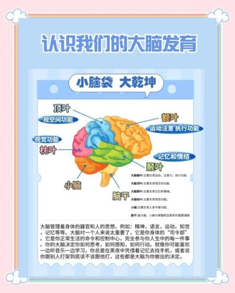 儿童认知发展阶段_如何促进孩子大脑发育
