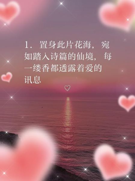 花海情感表达_如何传递爱意