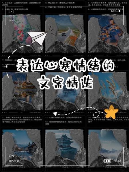 寒表达的情感是什么_如何读懂寒的深层情绪