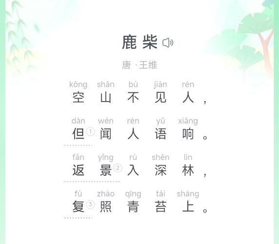 鹿柴表达了什么情感_王维为何写空山