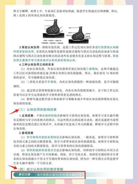 认知负荷如何影响学习效率_如何降低认知负荷